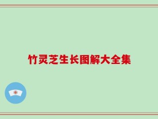 竹灵芝生长图解大全集