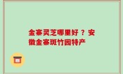 金寨灵芝哪里好 ？安徽金寨斑竹园特产