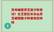 苏州破壁灵芝孢子粉采访？北芝堂在长白山灵芝破壁胞子粉基地怎样样