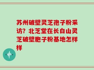 苏州破壁灵芝孢子粉采访？北芝堂在长白山灵芝破壁胞子粉基地怎样样