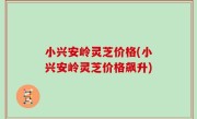 小兴安岭灵芝价格(小兴安岭灵芝价格飙升)