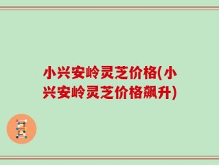 小兴安岭灵芝价格(小兴安岭灵芝价格飙升)