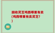 回收灵芝鸡西哪里有卖(鸡西哪里有卖灵芝？)