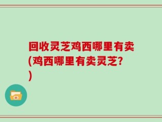 回收灵芝鸡西哪里有卖(鸡西哪里有卖灵芝？)