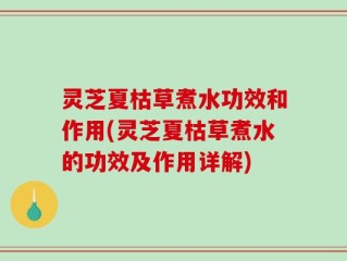 灵芝夏枯草煮水功效和作用(灵芝夏枯草煮水的功效及作用详解)