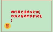 哪种灵芝值钱又好用(珍贵又有效的高价灵芝)
