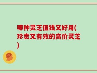 哪种灵芝值钱又好用(珍贵又有效的高价灵芝)