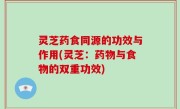 灵芝药食同源的功效与作用(灵芝：药物与食物的双重功效)