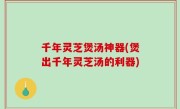 千年灵芝煲汤神器(煲出千年灵芝汤的利器)