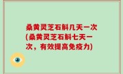 桑黄灵芝石斛几天一次(桑黄灵芝石斛七天一次，有效提高免疫力)