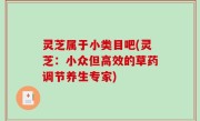 灵芝属于小类目吧(灵芝：小众但高效的草药调节养生专家)