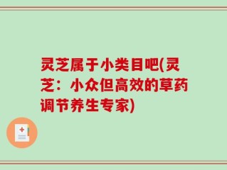 灵芝属于小类目吧(灵芝：小众但高效的草药调节养生专家)