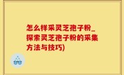 怎么样采灵芝孢子粉_探索灵芝孢子粉的采集方法与技巧)