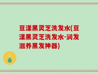 豆漾黑灵芝洗发水(豆漾黑灵芝洗发水-润发滋养黑发神器)