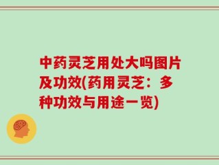中药灵芝用处大吗图片及功效(药用灵芝：多种功效与用途一览)