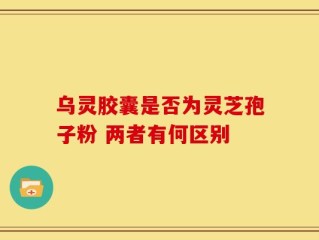 乌灵胶囊是否为灵芝孢子粉 两者有何区别