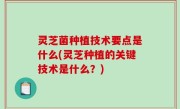 灵芝菌种植技术要点是什么(灵芝种植的关键技术是什么？)