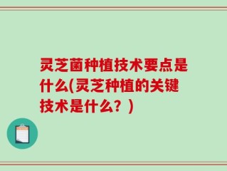 灵芝菌种植技术要点是什么(灵芝种植的关键技术是什么？)
