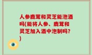人参鹿茸和灵芝能泡酒吗(能将人参、鹿茸和灵芝加入酒中泡制吗？)