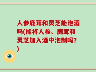 人参鹿茸和灵芝能泡酒吗(能将人参、鹿茸和灵芝加入酒中泡制吗？)