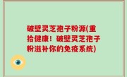 破壁灵芝孢子粉源(重拾健康！破壁灵芝孢子粉滋补你的免疫系统)