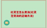 红灵芝怎么煮汤(红灵芝煲汤的正确方法)
