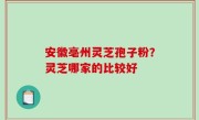 安徽亳州灵芝孢子粉？灵芝哪家的比较好