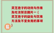 灵芝孢子的功效与作用及吃法禁忌图片一 (灵芝孢子的益处与饮用方法及不宜食用的事项)