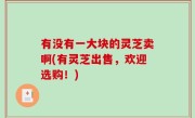 有没有一大块的灵芝卖啊(有灵芝出售，欢迎选购！)