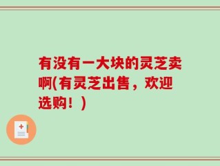有没有一大块的灵芝卖啊(有灵芝出售，欢迎选购！)