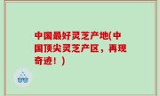 中国最好灵芝产地(中国顶尖灵芝产区，再现奇迹！)