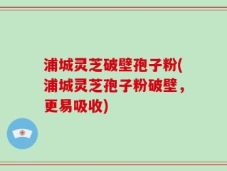 浦城灵芝破壁孢子粉(浦城灵芝孢子粉破壁，更易吸收)