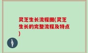 灵芝生长流程图(灵芝生长的完整流程及特点)