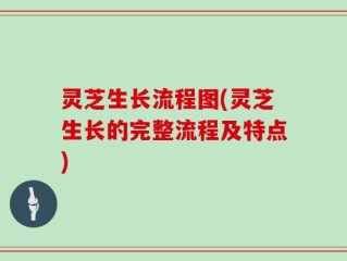 灵芝生长流程图(灵芝生长的完整流程及特点)
