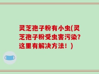灵芝孢子粉有小虫(灵芝孢子粉受虫害污染？这里有解决方法！)