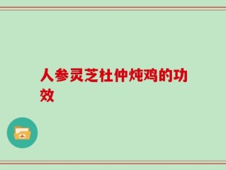人参灵芝杜仲炖鸡的功效