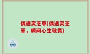 偶遇灵芝草(偶遇灵芝草，瞬间心生敬畏)