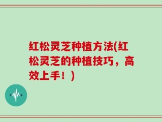 红松灵芝种植方法(红松灵芝的种植技巧，高效上手！)