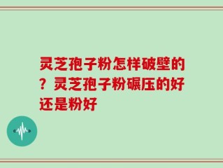 灵芝孢子粉怎样破壁的？灵芝孢子粉碾压的好还是粉好