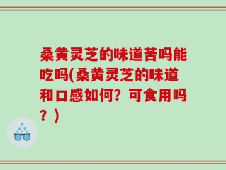 桑黄灵芝的味道苦吗能吃吗(桑黄灵芝的味道和口感如何？可食用吗？)