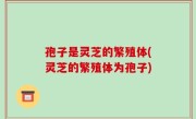 孢子是灵芝的繁殖体(灵芝的繁殖体为孢子)