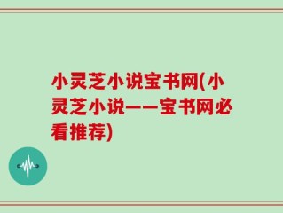 小灵芝小说宝书网(小灵芝小说——宝书网必看推荐)