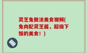 灵芝兔做法美食视频(兔肉配灵芝酱，超级下饭的美食！)