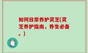 如何日常养护灵芝(灵芝养护指南，养生必备。)