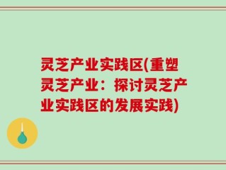 灵芝产业实践区(重塑灵芝产业：探讨灵芝产业实践区的发展实践)