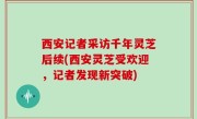 西安记者采访千年灵芝后续(西安灵芝受欢迎，记者发现新突破)