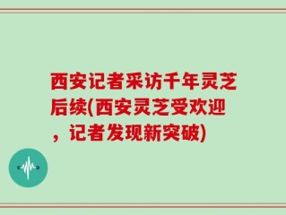 西安记者采访千年灵芝后续(西安灵芝受欢迎，记者发现新突破)