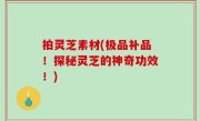 拍灵芝素材(极品补品！探秘灵芝的神奇功效！)