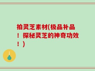 拍灵芝素材(极品补品！探秘灵芝的神奇功效！)