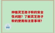 种植灵芝孢子粉的安全性问题？了解灵芝孢子粉的使用和注意事项？